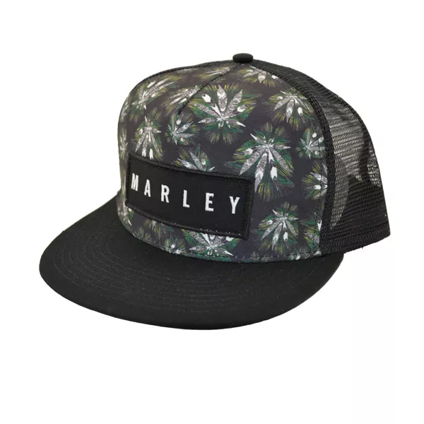 Detail Desain Topi Snapback Nomer 24