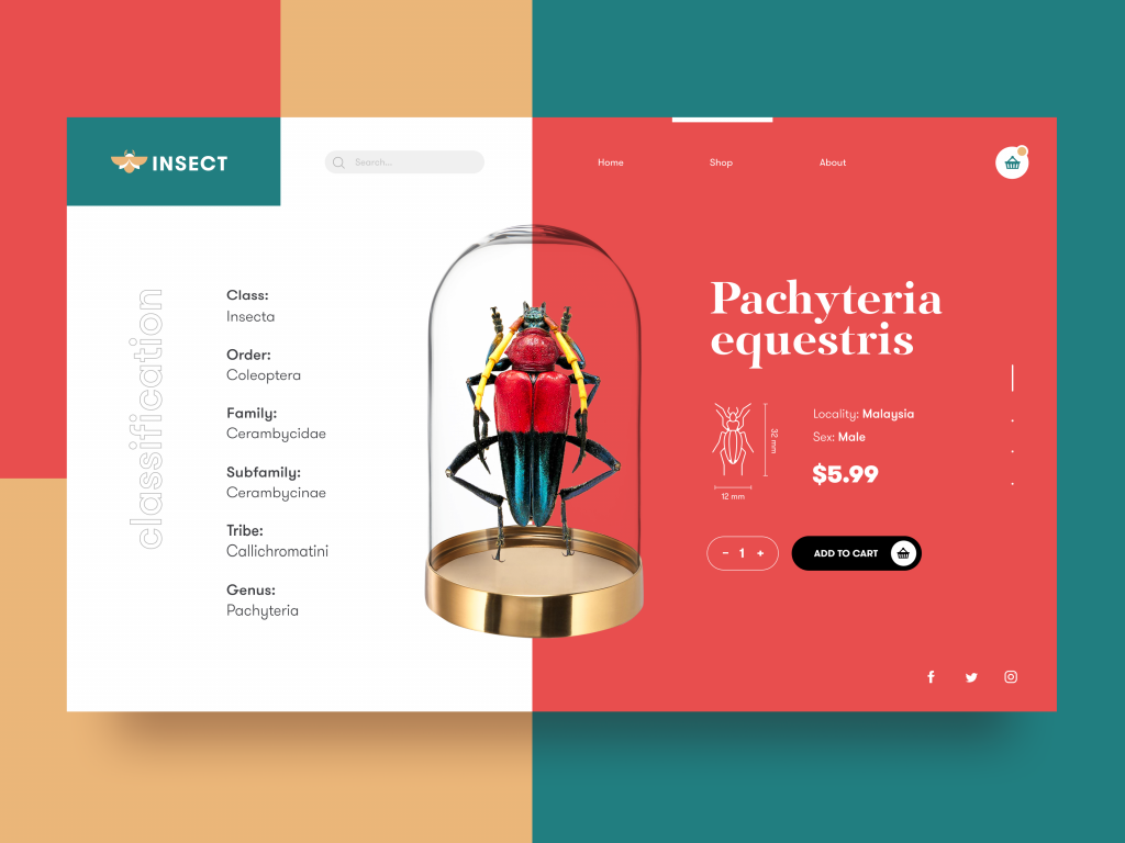 Detail Desain Ui Web Nomer 13