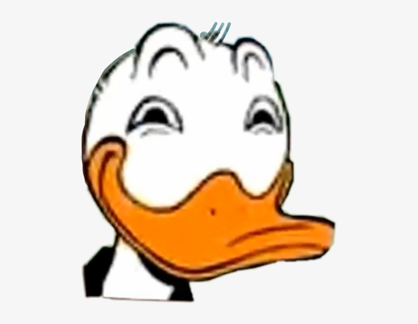 Detail Duck Meme Nomer 20