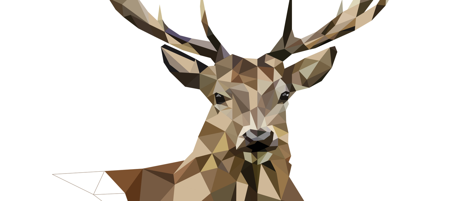 Detail Geometric Deer Nomer 25