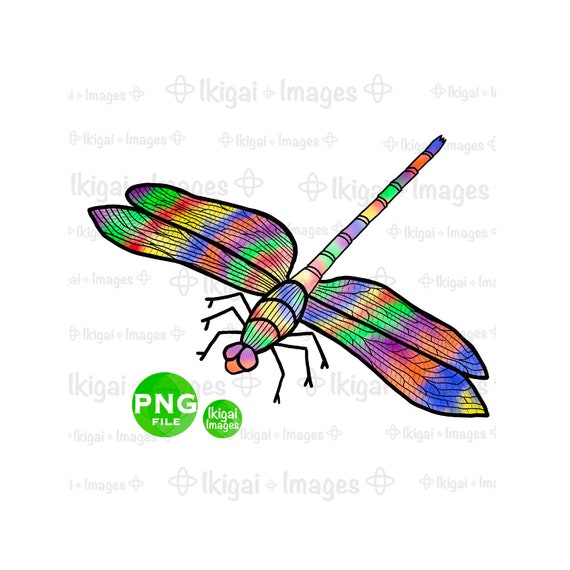 Detail Libelle Clipart Nomer 6