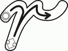 Detail Schreibschrift Q Nomer 13