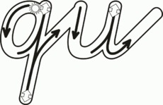 Detail Schreibschrift Q Nomer 5
