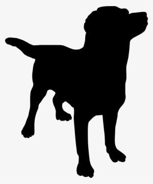 Detail Silhouette Background Nomer 9