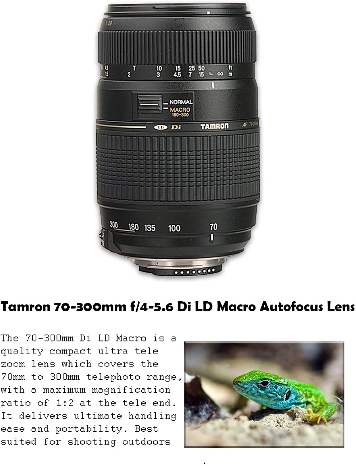 Detail Long Focus Lens Hasil Gambar Nomer 22