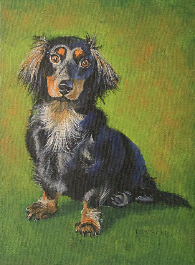 Detail Long Haired Dachshund Painting Nomer 2