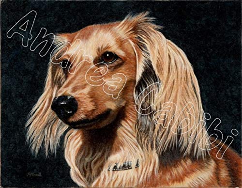 Detail Long Haired Dachshund Painting Nomer 25