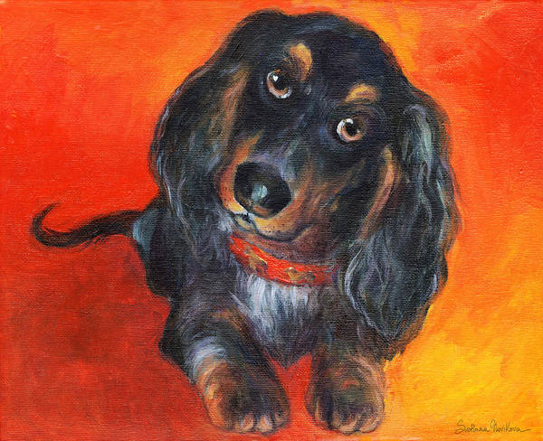 Detail Long Haired Dachshund Painting Nomer 47