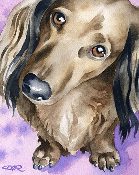 Detail Long Haired Dachshund Painting Nomer 7