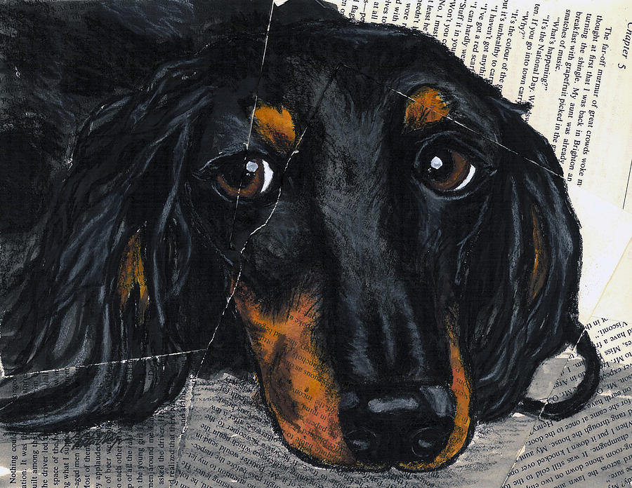 Detail Long Haired Dachshund Painting Nomer 8