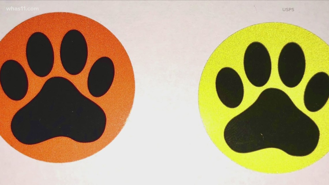 Paw Print Sticker On Mailbox - KibrisPDR