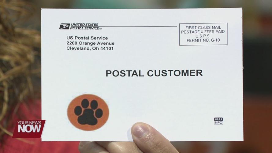 Detail Paw Print Sticker On Mailbox Nomer 12