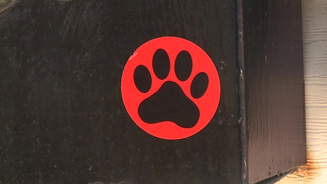 Detail Paw Print Sticker On Mailbox Nomer 21