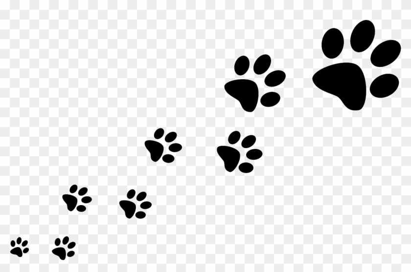 Detail Paw Print Transparent Background Free Nomer 10