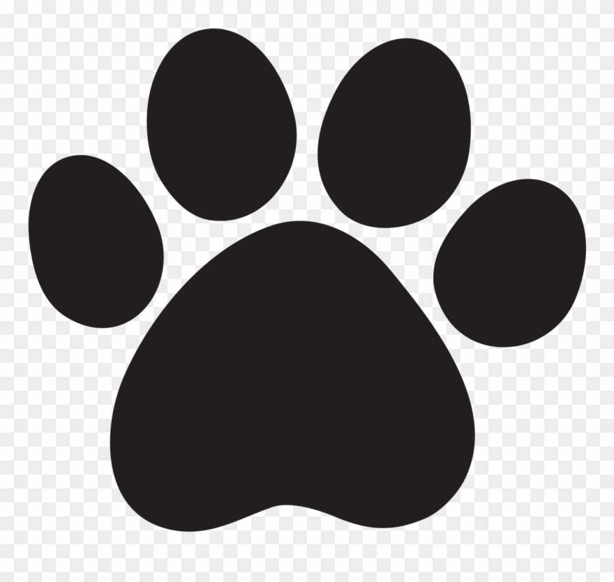 Detail Paw Print Transparent Background Free Nomer 11