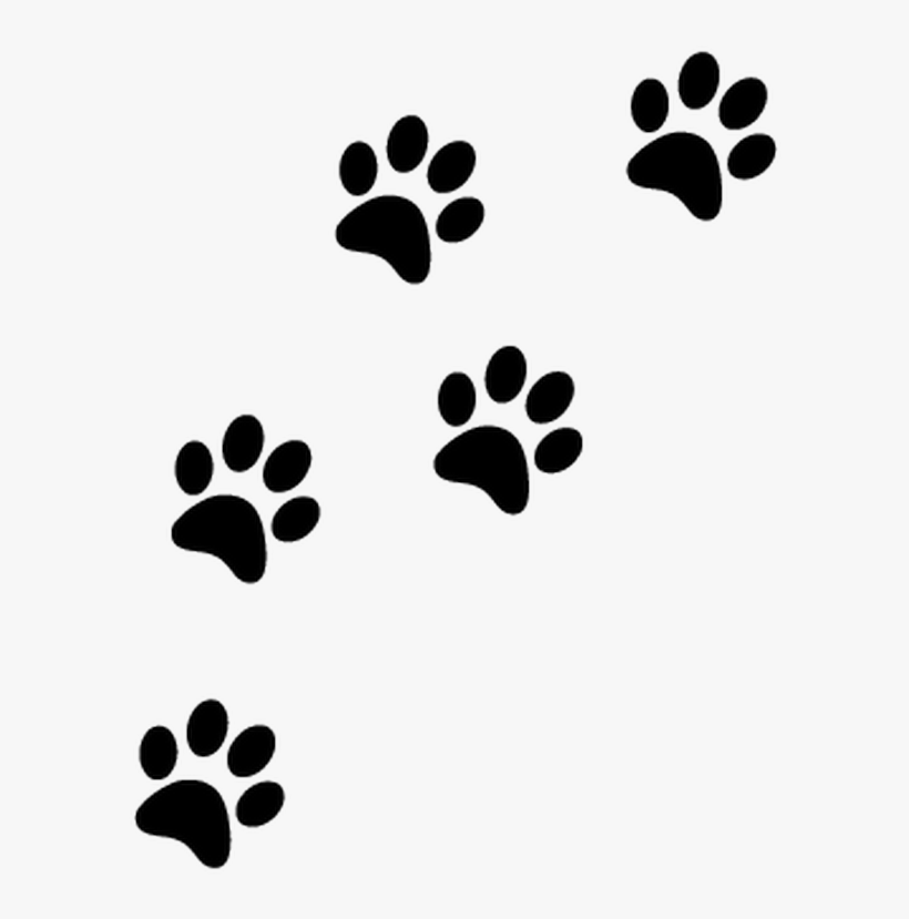 Detail Paw Print Transparent Background Free Nomer 12