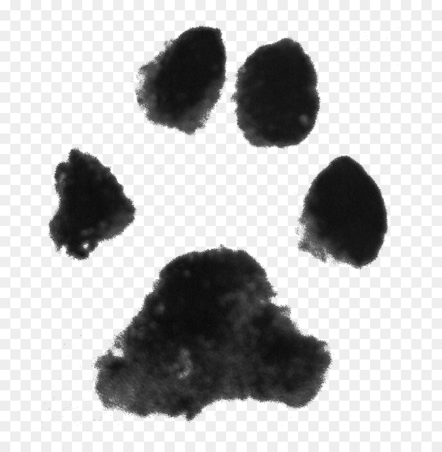 Detail Paw Print Transparent Background Free Nomer 14