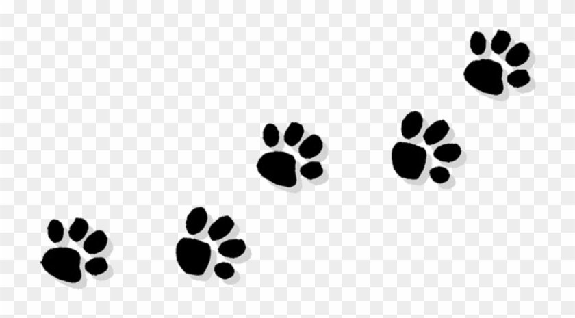 Detail Paw Print Transparent Background Free Nomer 20