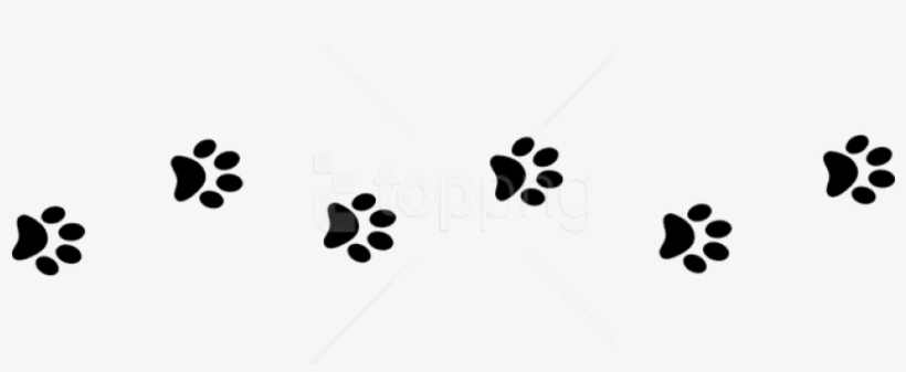 Detail Paw Print Transparent Background Free Nomer 41