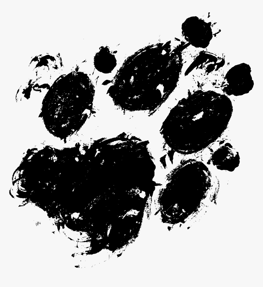 Detail Paw Print Transparent Background Free Nomer 46