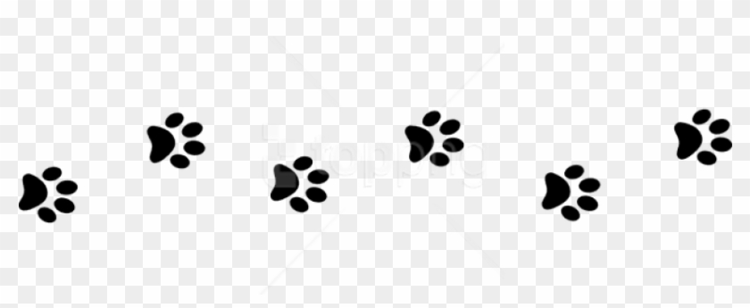 Detail Paw Print Transparent Background Free Nomer 51
