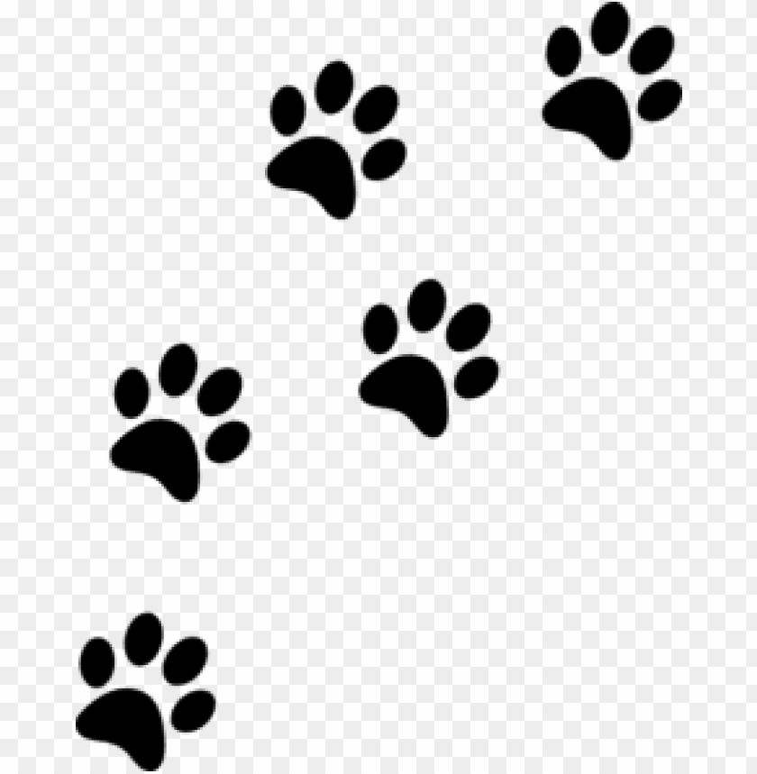 Detail Paw Prints Transparent Background Nomer 3