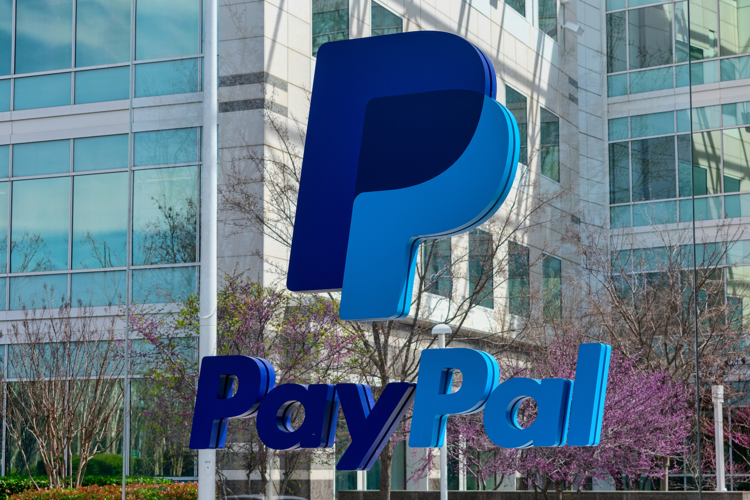 Detail Paypal Image Nomer 16