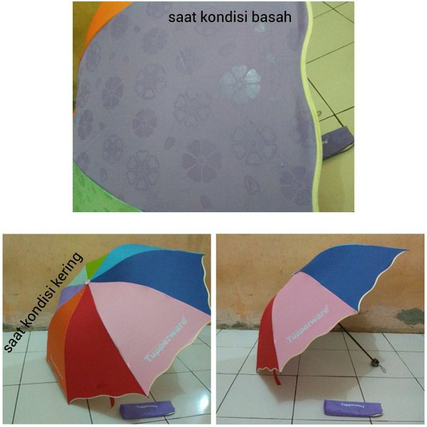 Detail Payung Tupperware 3d Nomer 18