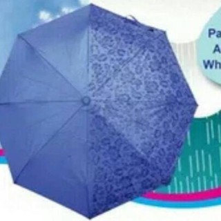 Detail Payung Tupperware 3d Nomer 31