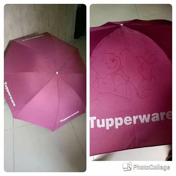 Detail Payung Tupperware 3d Nomer 6