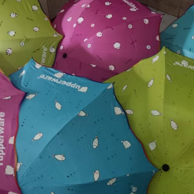 Detail Payung Tupperware 3d Nomer 8