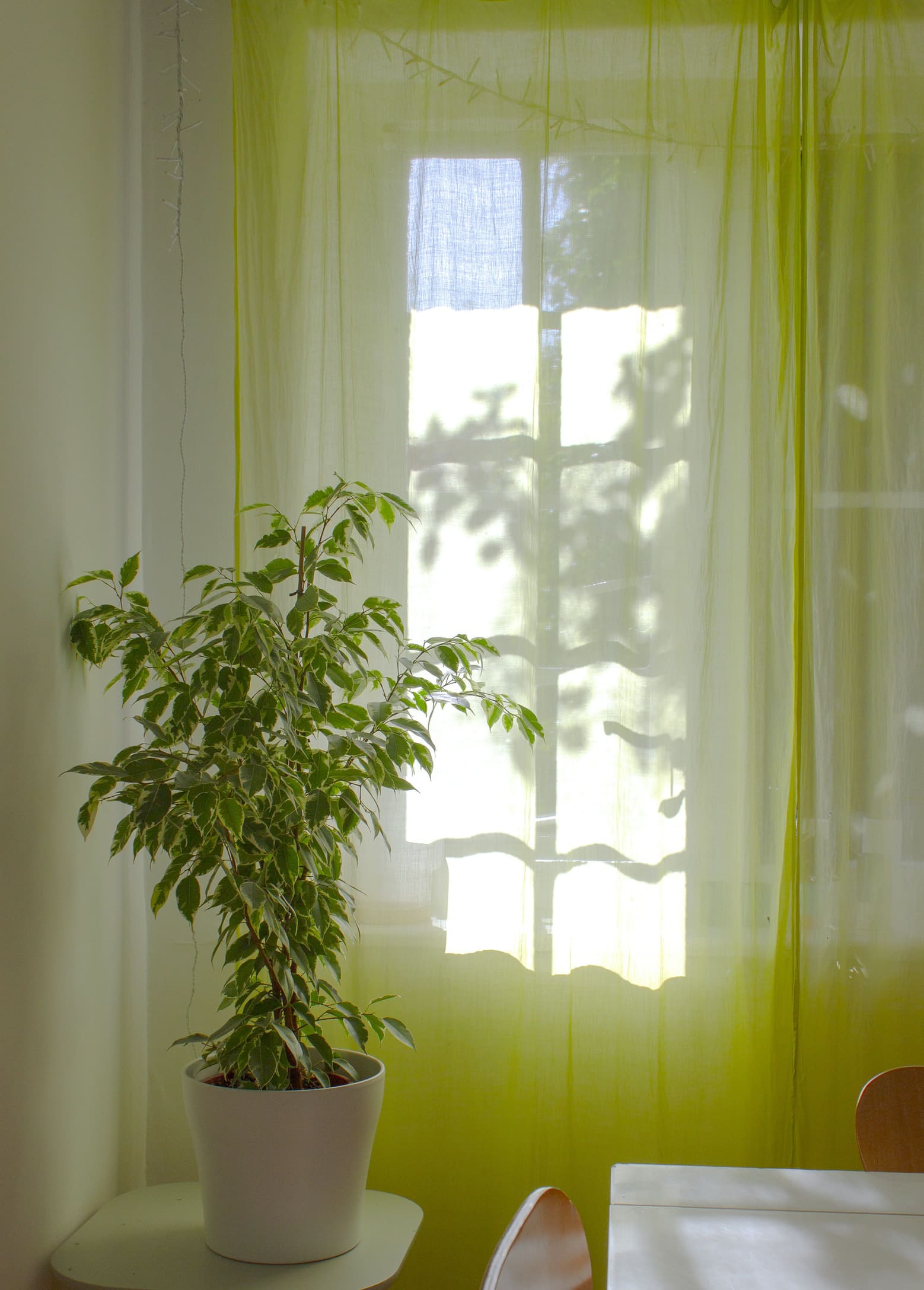 Detail Pea Green Curtains Nomer 26