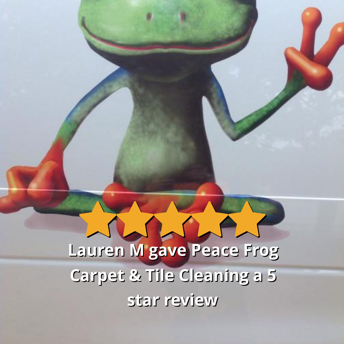 Detail Peace Frog Carpet Cleaning Nomer 23