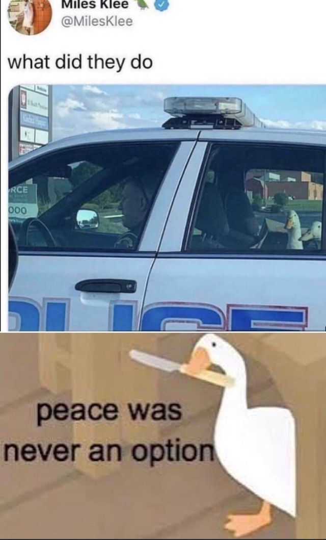 Detail Peace Was Never An Option Meme Nomer 18