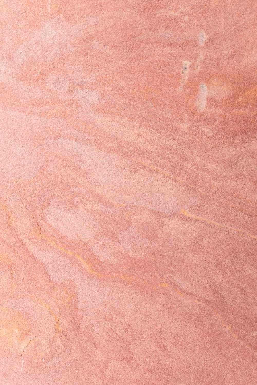 Detail Peach Background Nomer 13