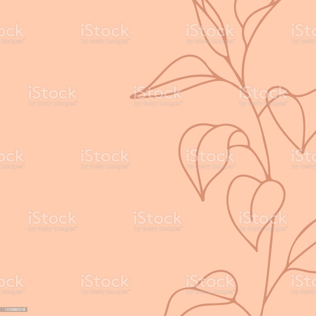Detail Peach Background Nomer 43