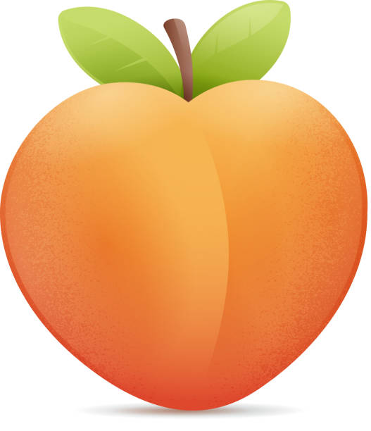 Detail Peach Clipart Nomer 3