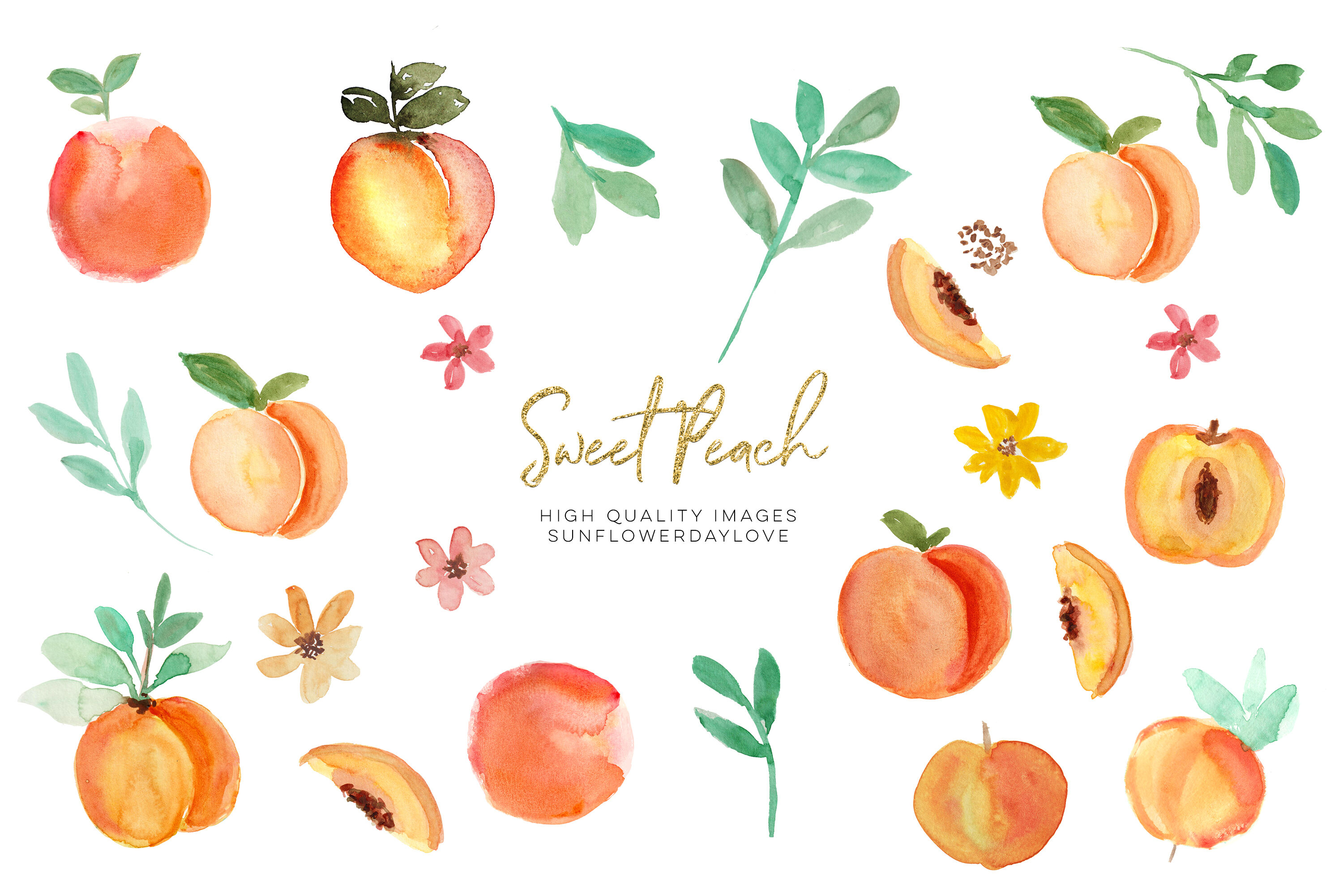Detail Peach Clipart Nomer 50