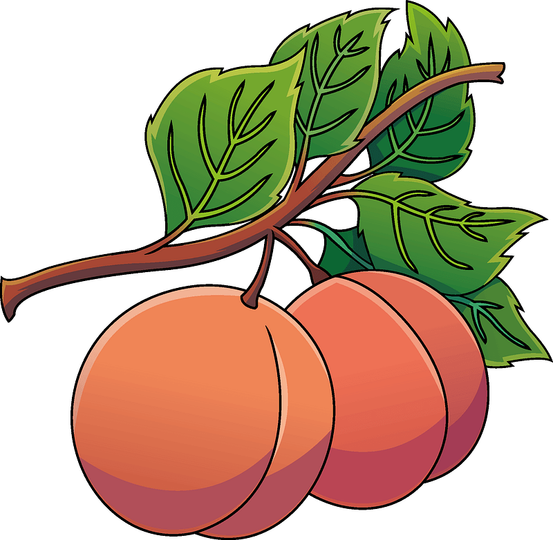 Detail Peach Clipart Nomer 53