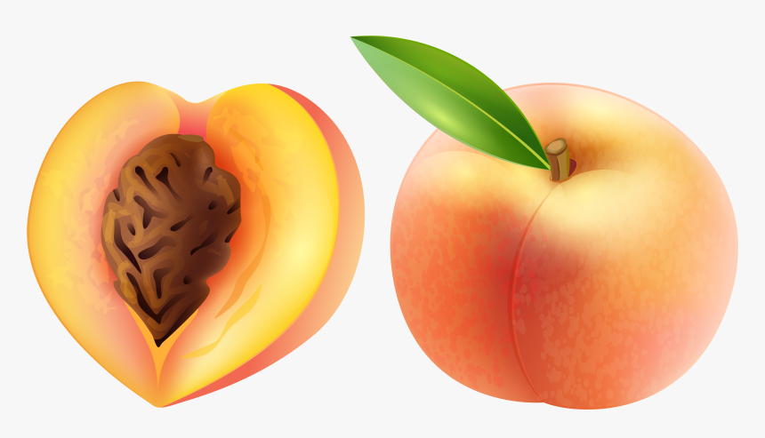 Detail Peach Clipart Png Nomer 10