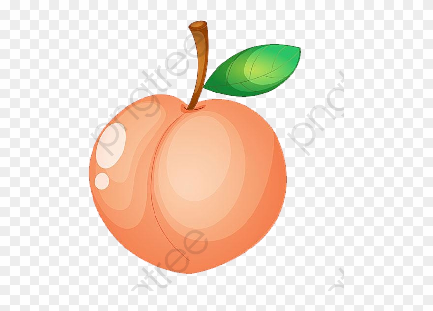 Detail Peach Clipart Png Nomer 16