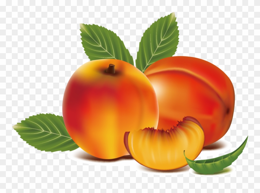 Detail Peach Clipart Png Nomer 17