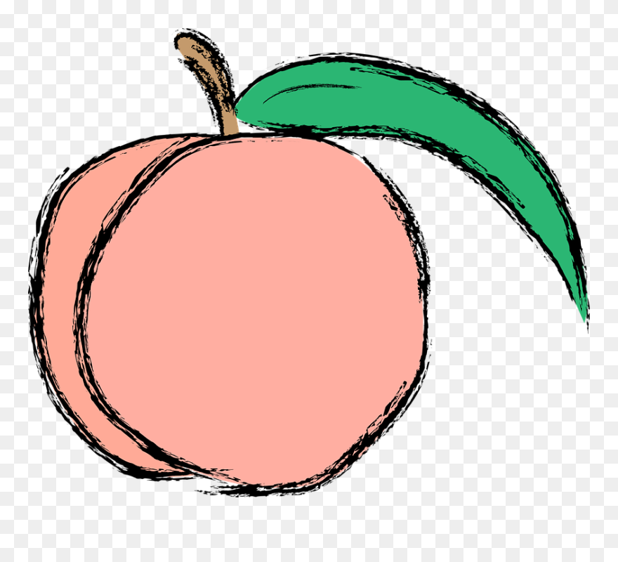 Detail Peach Clipart Png Nomer 20