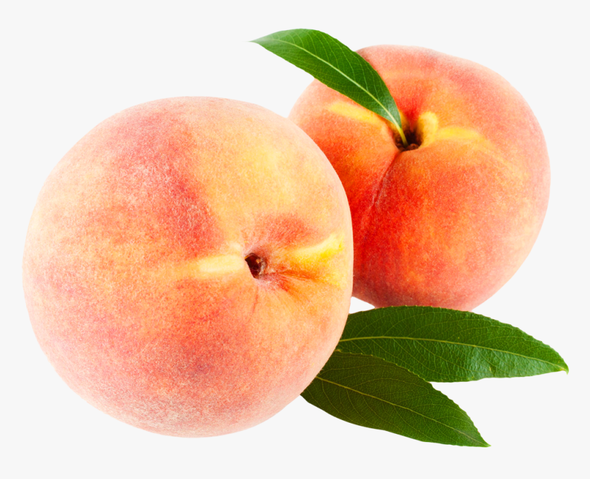 Detail Peach Clipart Png Nomer 28