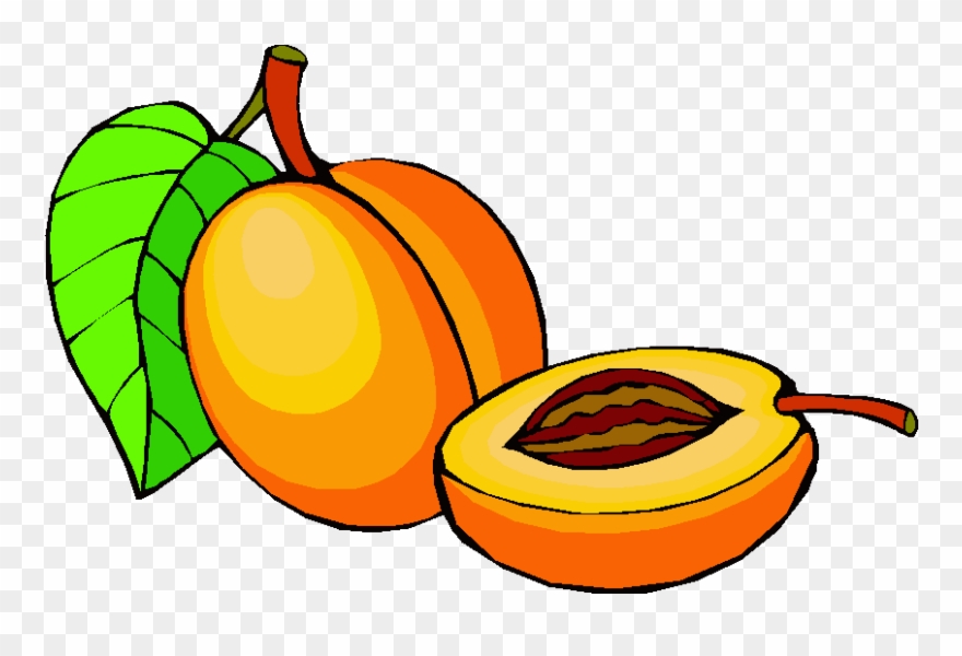 Detail Peach Clipart Png Nomer 30