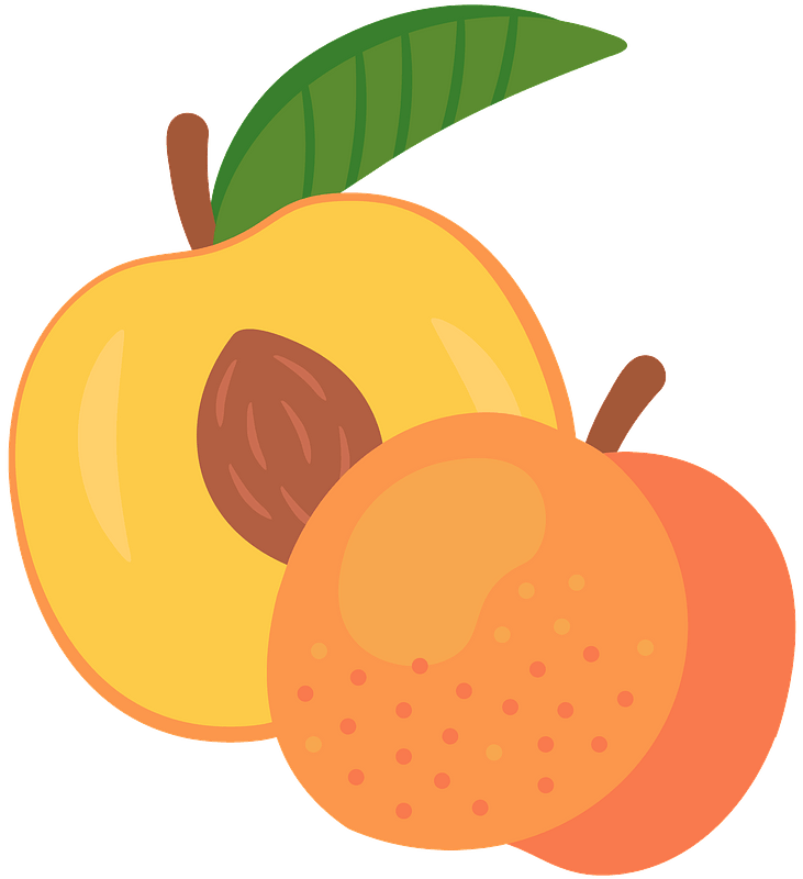 Detail Peach Clipart Png Nomer 45