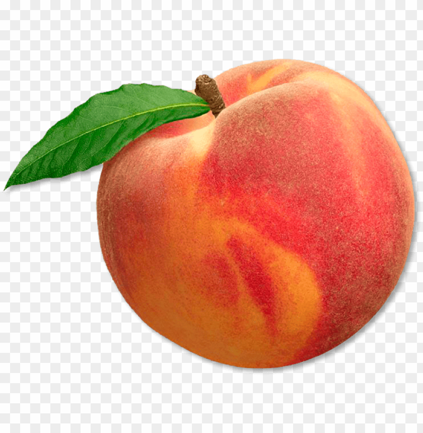 Peach Download - KibrisPDR