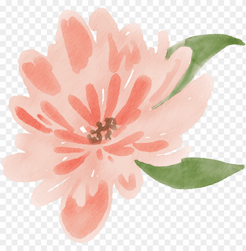 Detail Peach Flower Png Nomer 14