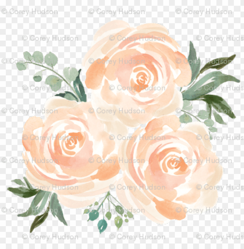Detail Peach Flower Png Nomer 43