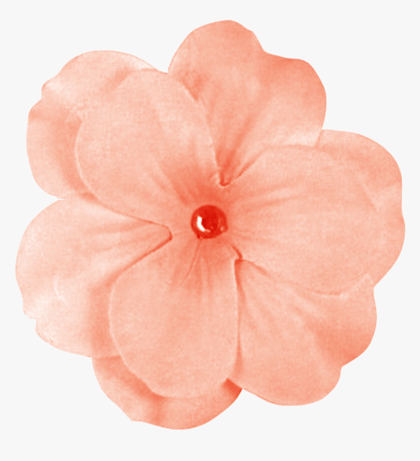 Detail Peach Flower Png Nomer 8